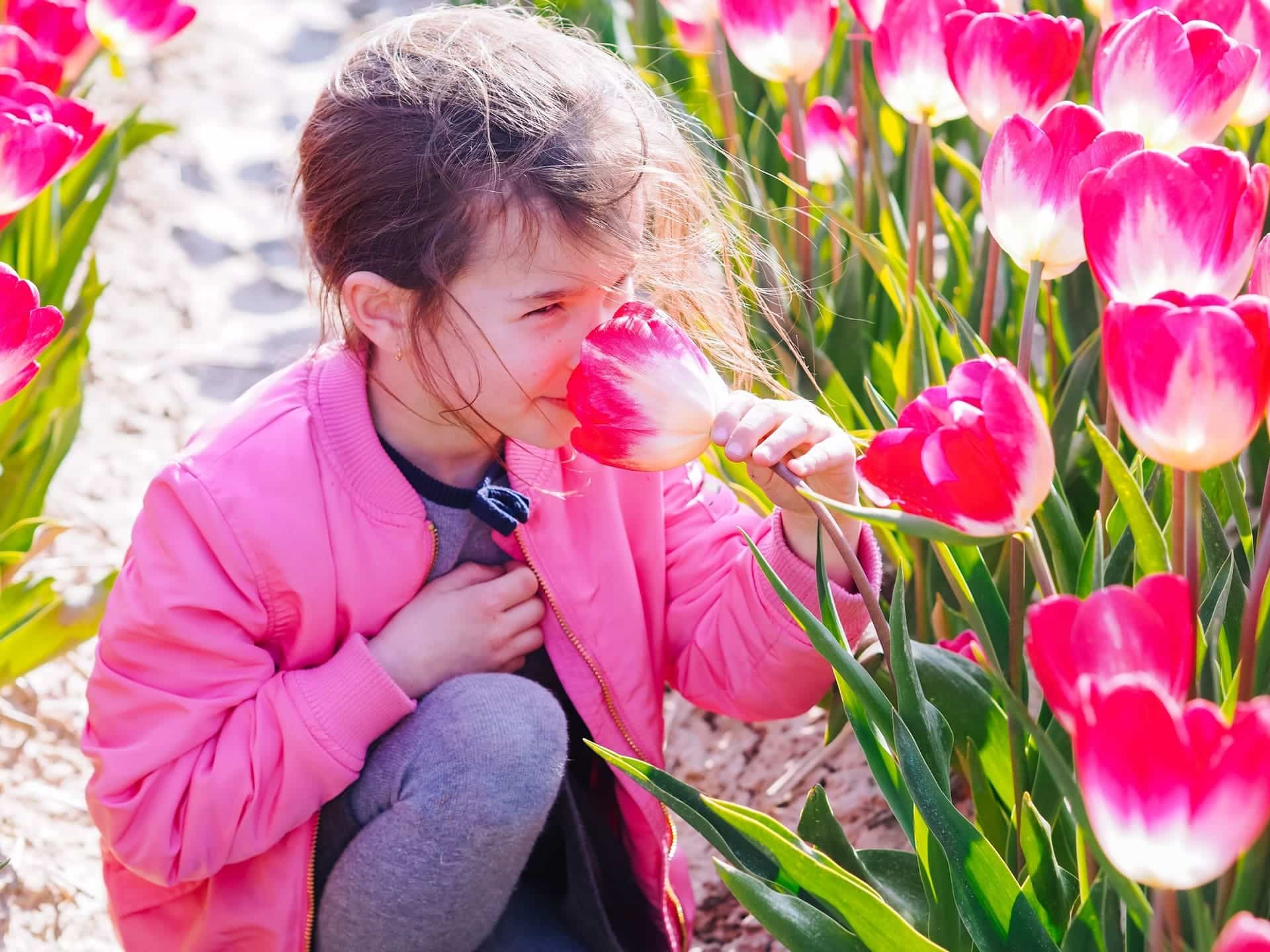 billet keukenhof amsterdam ()